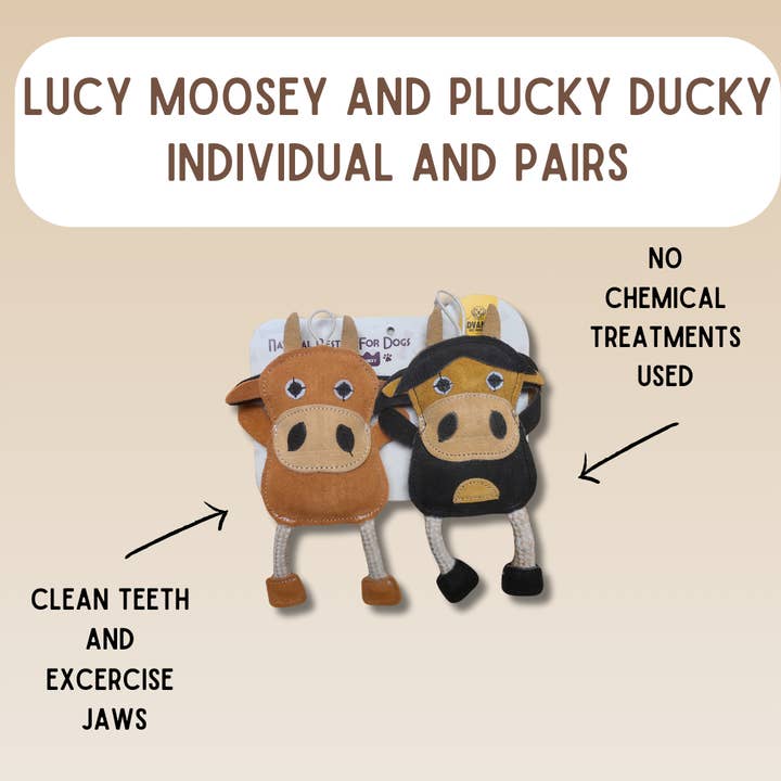 Advance Pet Products - Wholesale Pet Plush Toy - Dog - All-Natural Besties for Dogs. Six animal options!2