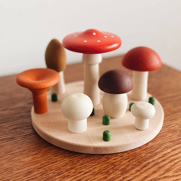 Svampsorterare för wholesale av BAJO WOODEN TOYS