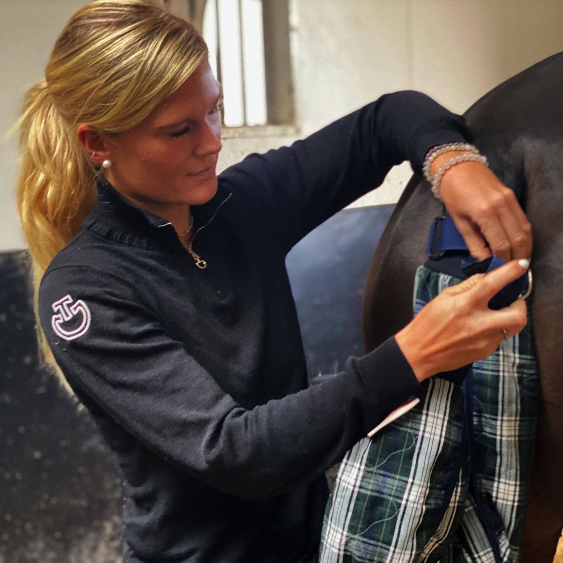 Tartan Sèche-queue Wrapido pour cheval en vente sur Faire