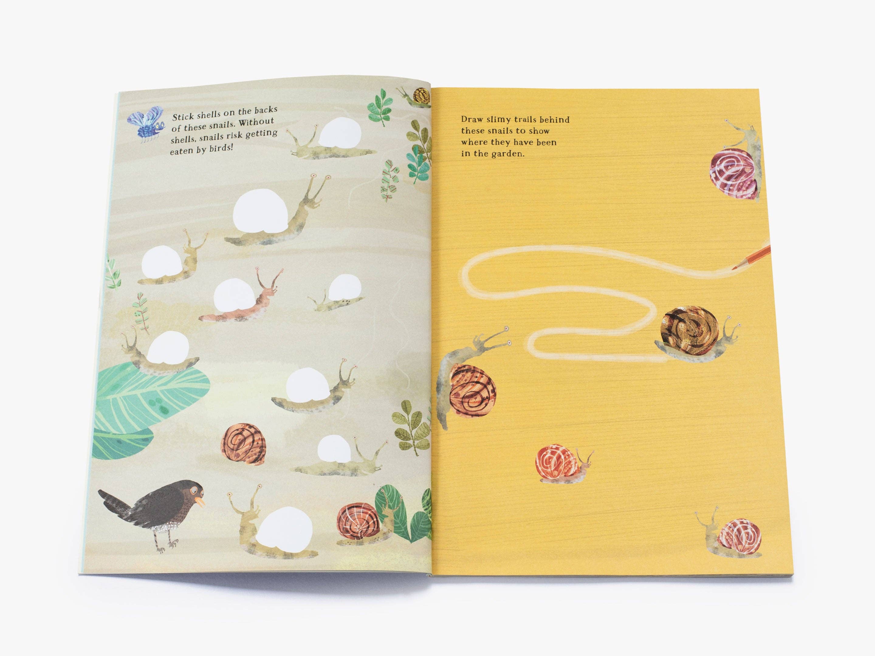 Thames and Hudson – wholesale Colouring and activity book – kids and baby – The Big Sticker Book of Bugs (The Big Book series)1