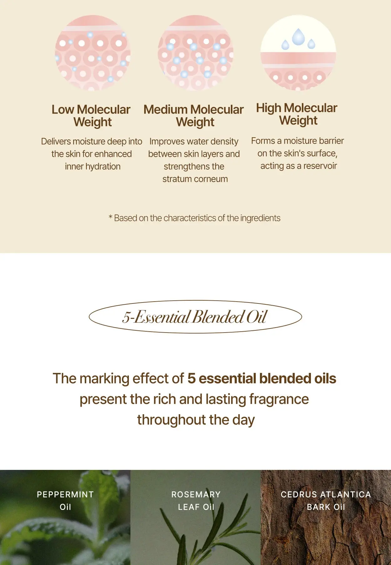 CELEMENT /IN YOUR GLOW - Wholesale Hand Cream/Lotion - Perfumed Moisturizing Hand & Body Cream in Transparent Pouch8