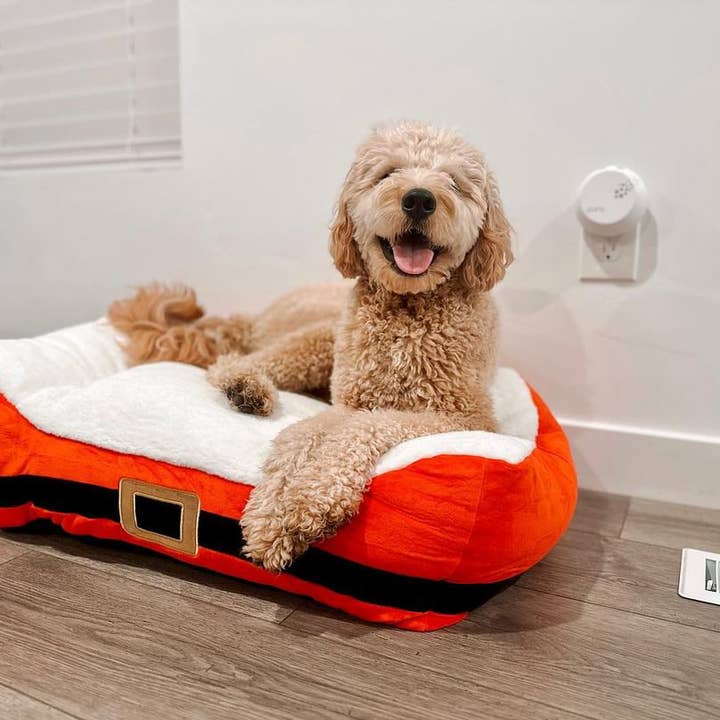Midlee Designs - Wholesale Pet Bed - Dog - Midlee Santa's Belt Themed Pet Bed - One Size