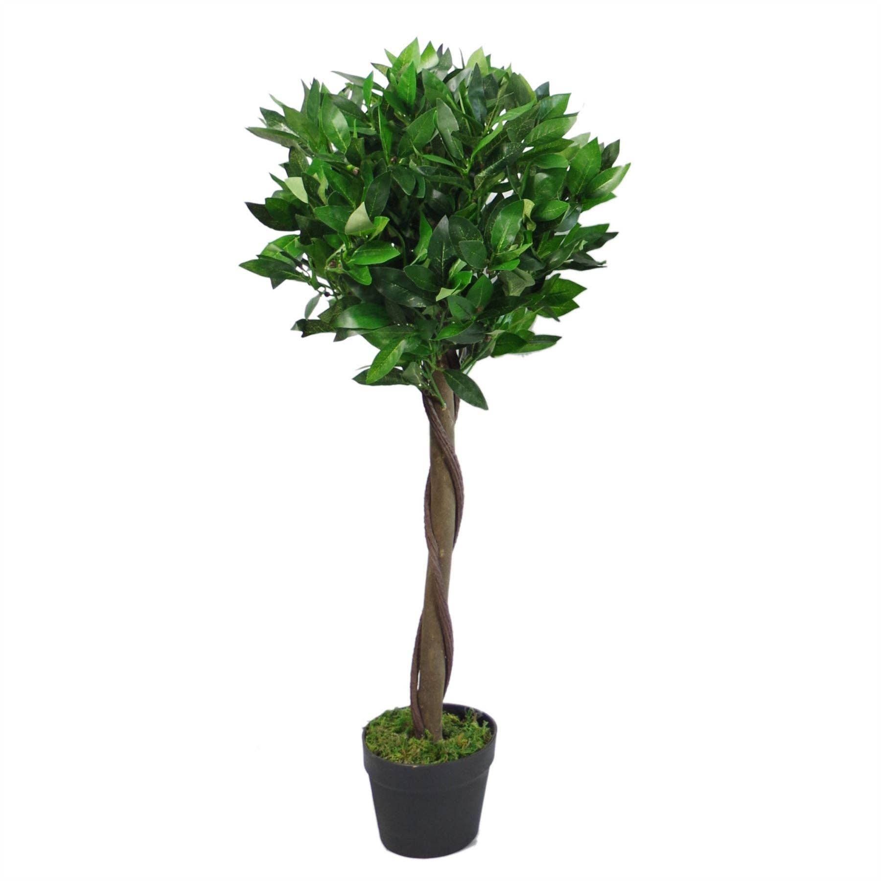 Leaf Design UK LTD – wholesale Artificial plant – Bay Laurel Trees Large Statement Entrance Trees9