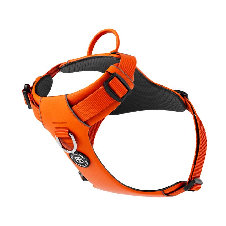 Air Mesh Anti-Pull Harness with Handle & Adjustable #5 for wholesale by BullyBillows Ltd