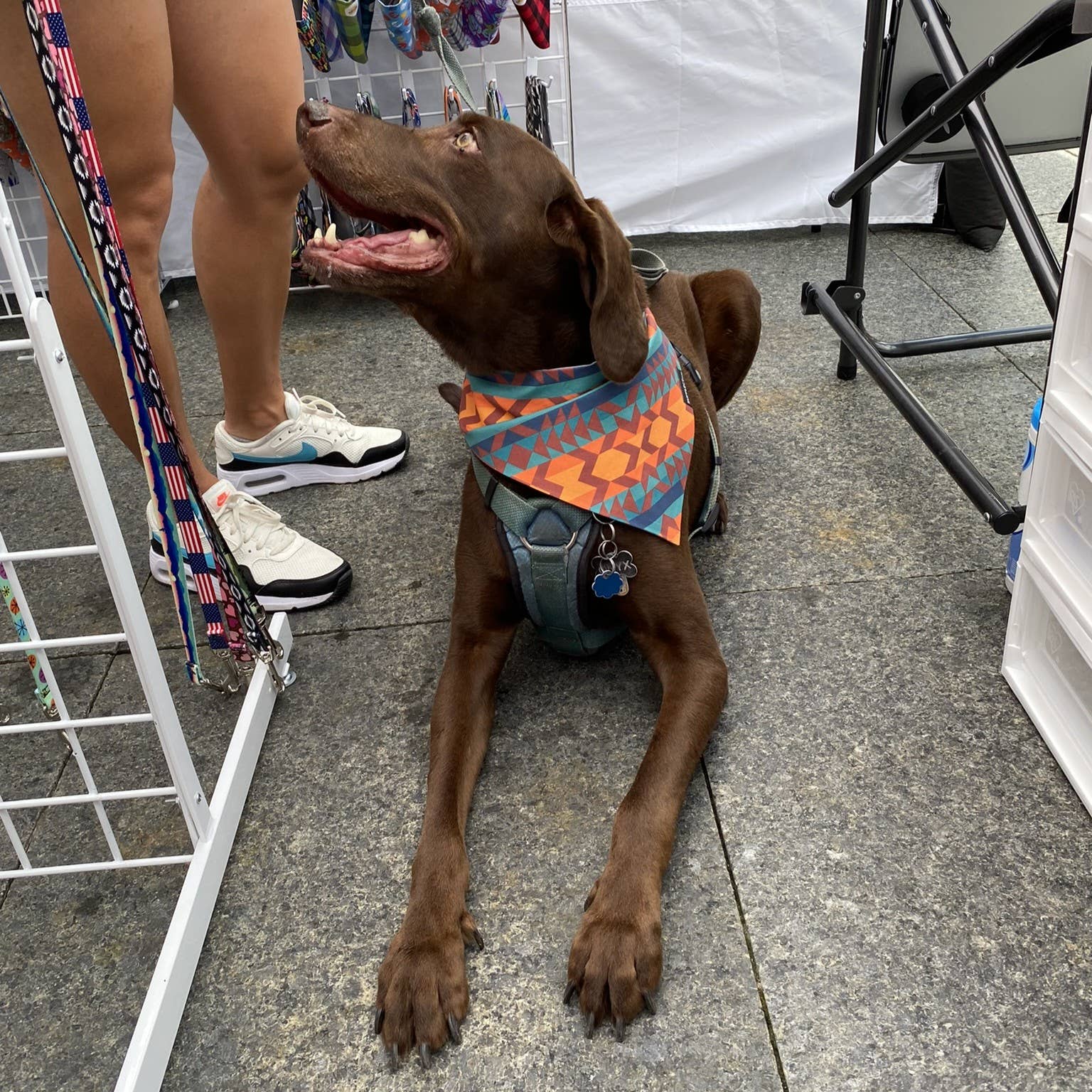 RUFFLECT Dog Bandanas - Wholesale Pet Bandana - Dog - Navajo RUFFLECT® Dog Bandana3