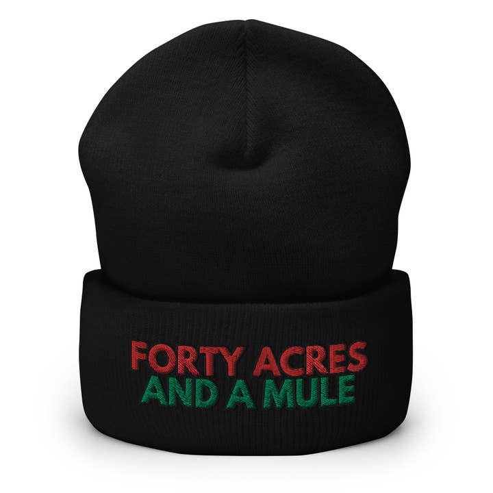 Forty Acres And A Mule Cuffed Beanie - Black Slave History for wholesale by The Beanie Shop