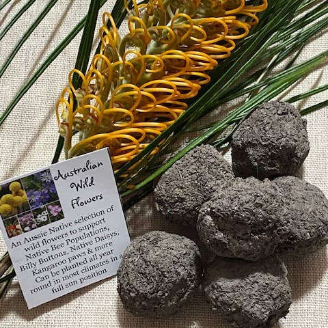 Aussie Seed Bombs - Wholesale Plant Seeds - Australian Native Wildflowers Mix 6pc