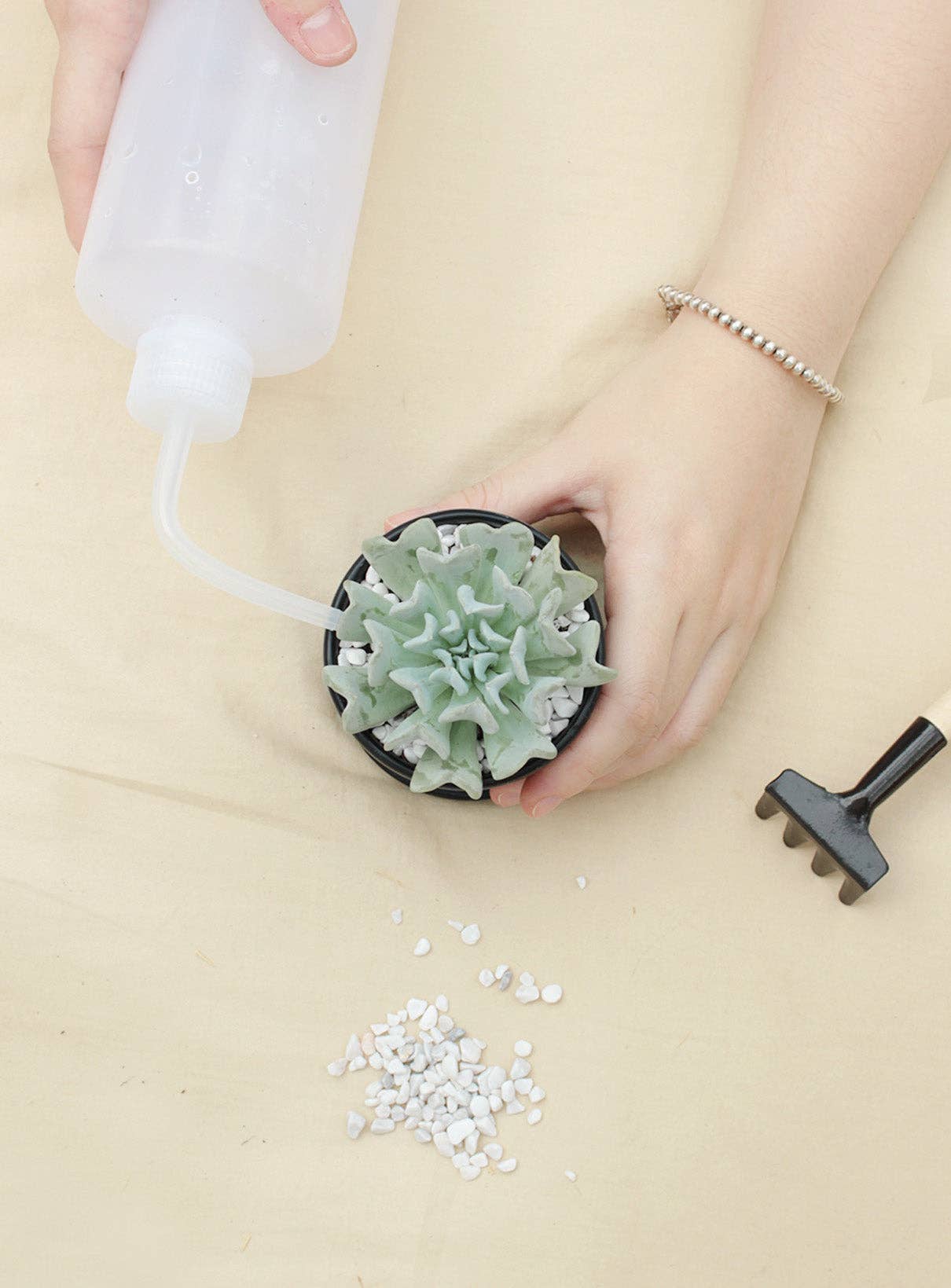 Best Plant Friend - Vente Arrosoirs - Bouteille d'arrosage en plastique de 500 ml pour plantes succulentes et cactus2
