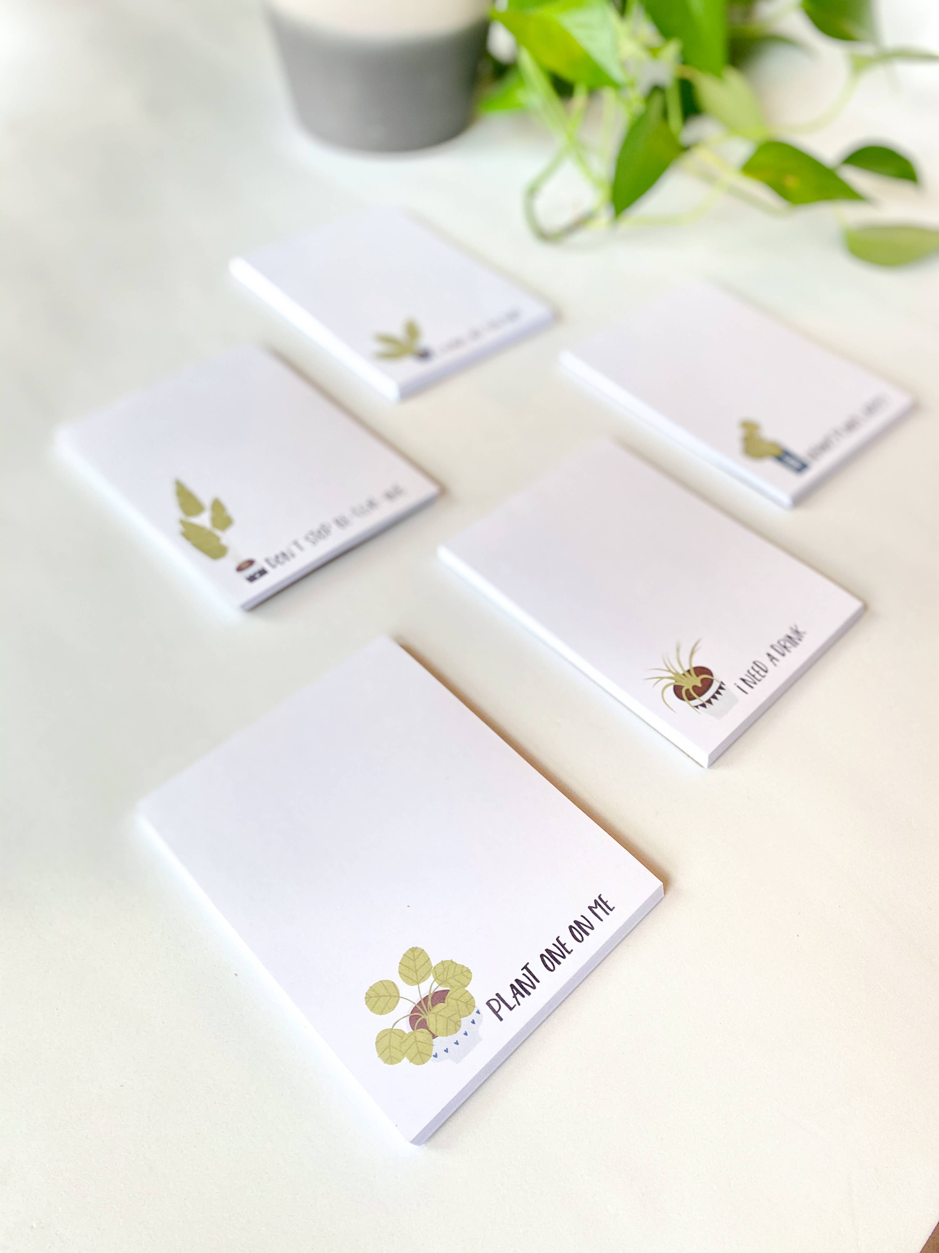 The Mad Padder - Wholesale Notepad - Plants - Plant One On Me Notepad - Peperomia Affection Love1