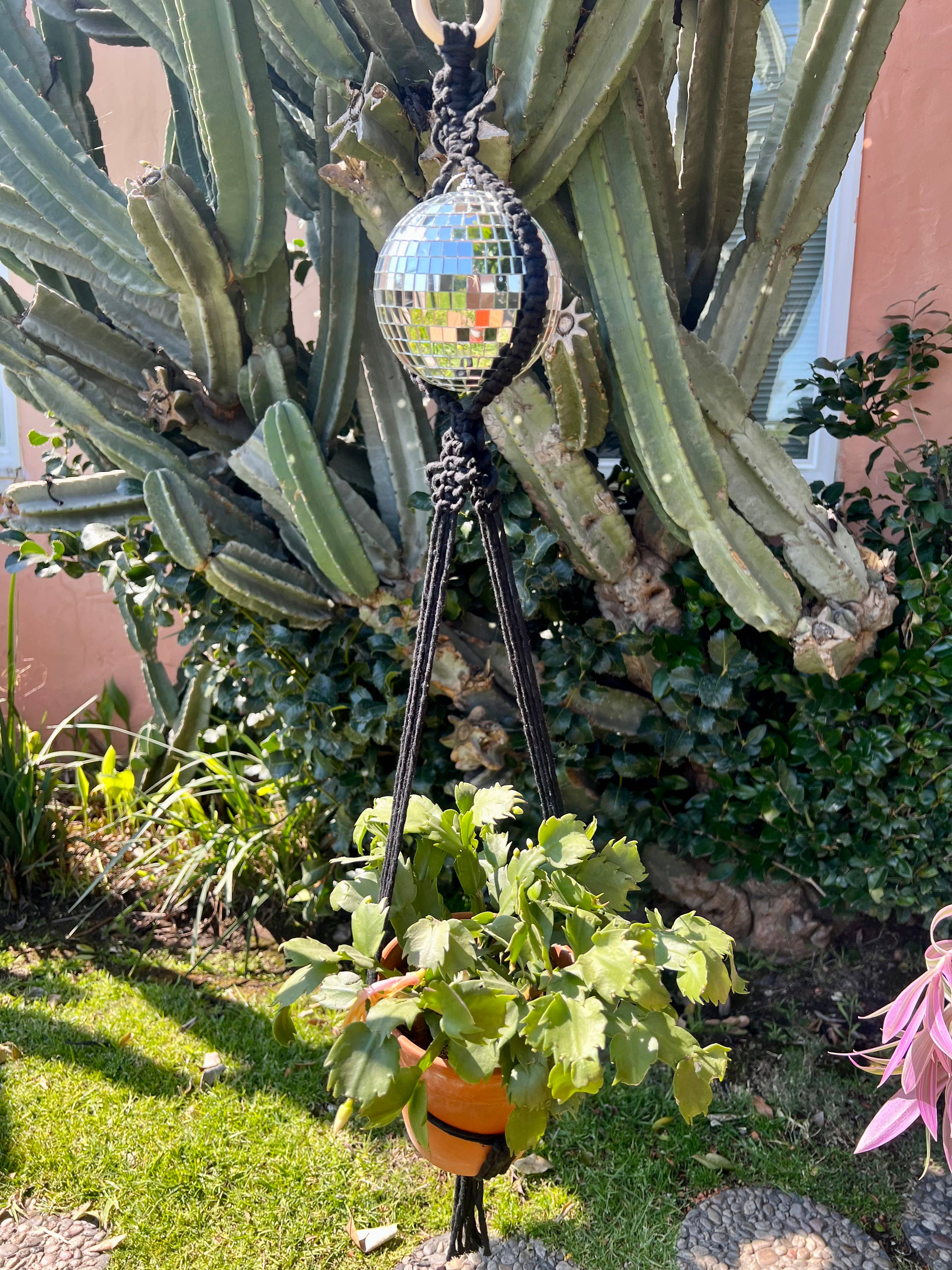 Dapper House Menagerie - Wholesale Hanging Planter - Disco Plant Hanger1