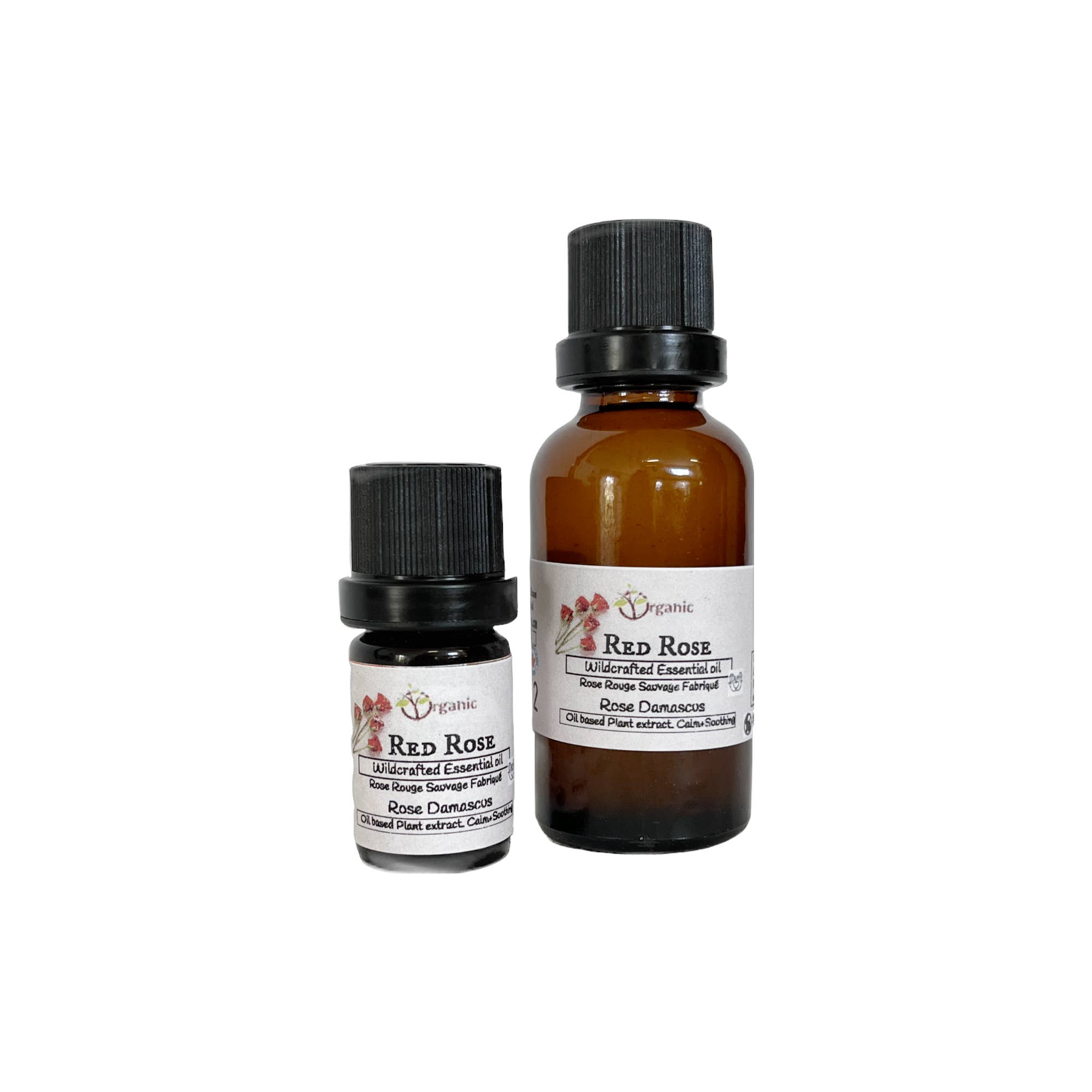 Organic Body Shop - Wholesale Essential Oil - Rose White Essential Oil.Wildcrafted.Ontario 5ml