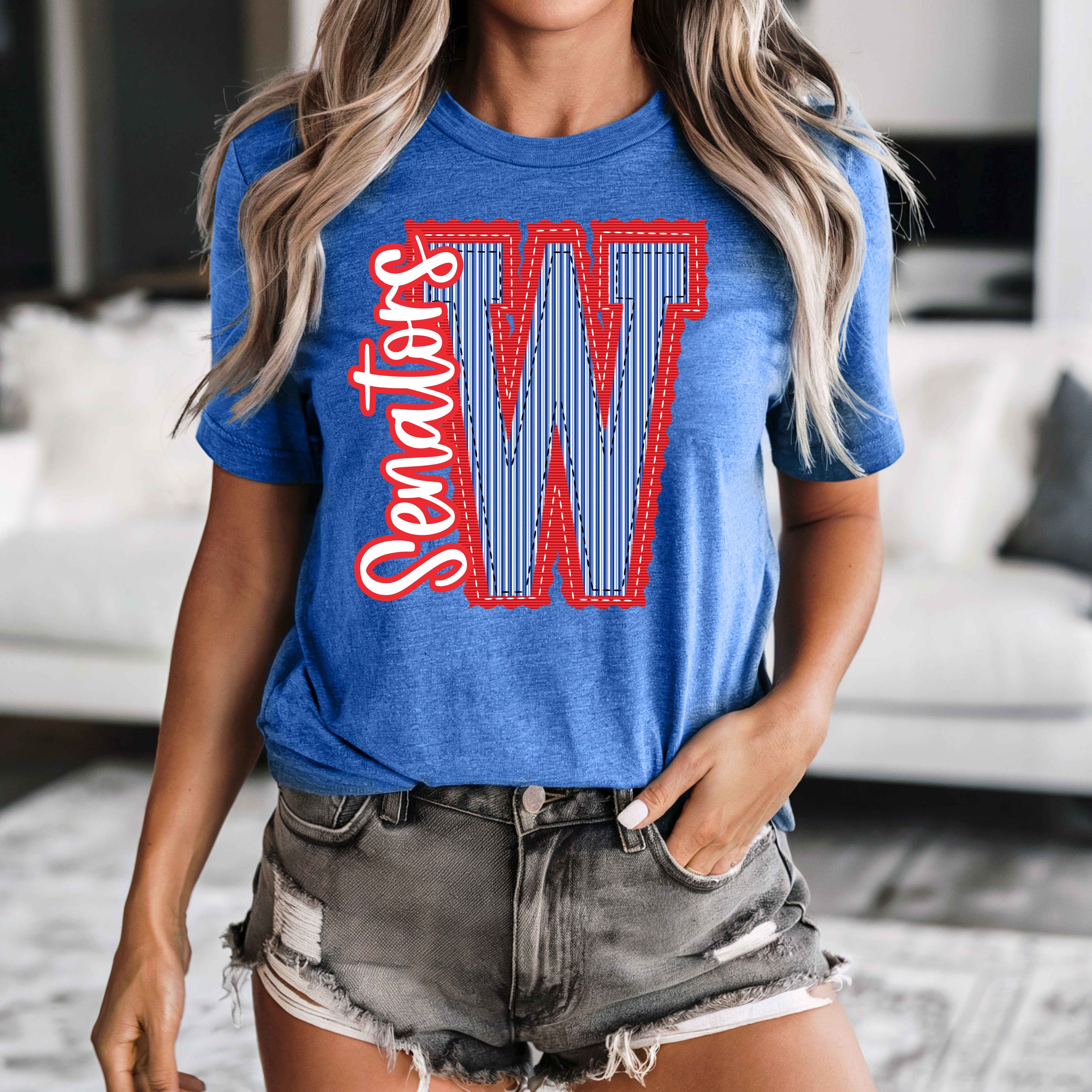 Enid and Elle - Wholesale Shirt - Unisex - Gingham Check Customized Mascot T-shirt, School Spirit Shirt2
