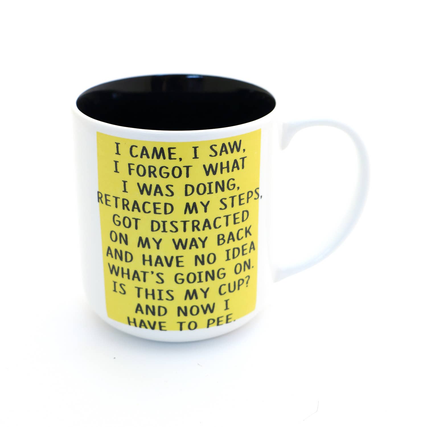 Lenny Mud - Wholesale Coffee Mug - I Came I Saw mug, middle aged, birthday mug, funny adulting2