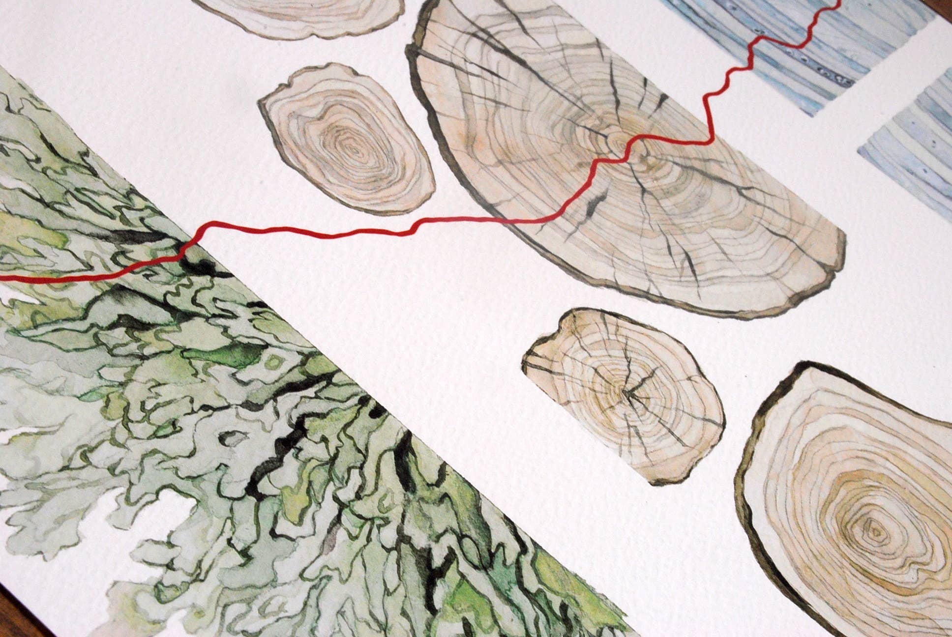 Jill Pelto Art - Wholesale Art Print - Ice Core, Tree Rings, and Lichen Art Print2