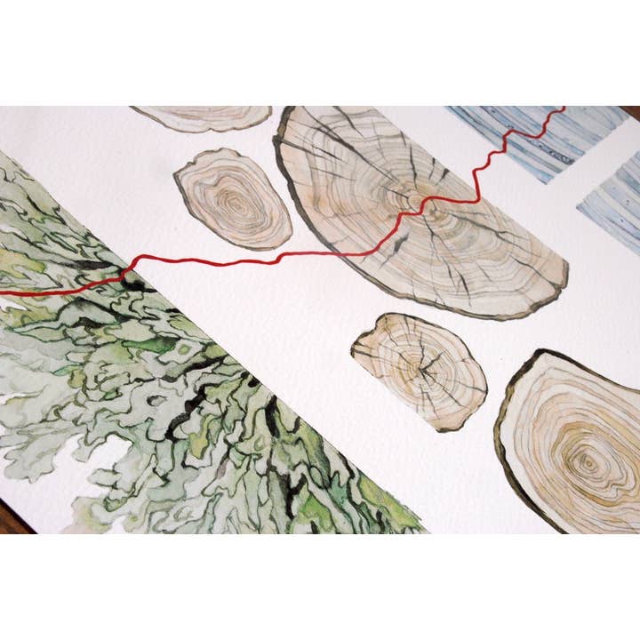 Jill Pelto Art - Wholesale Art Print - Ice Core, Tree Rings, and Lichen Art Print2