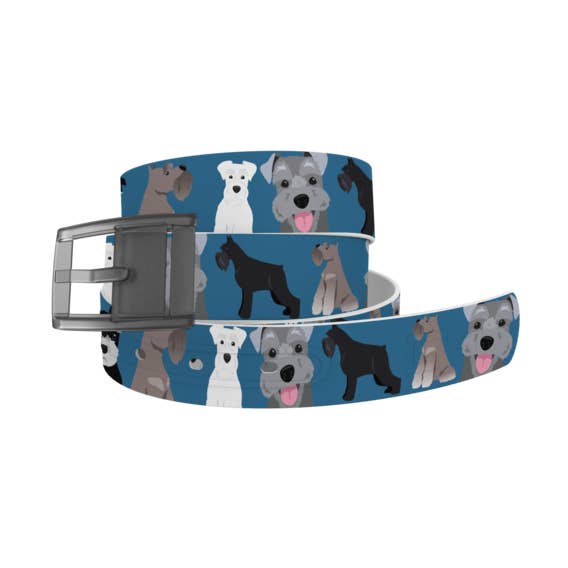 Schnauzer Belt with Grey Buckle for wholesale by C4 Belts & Accessories