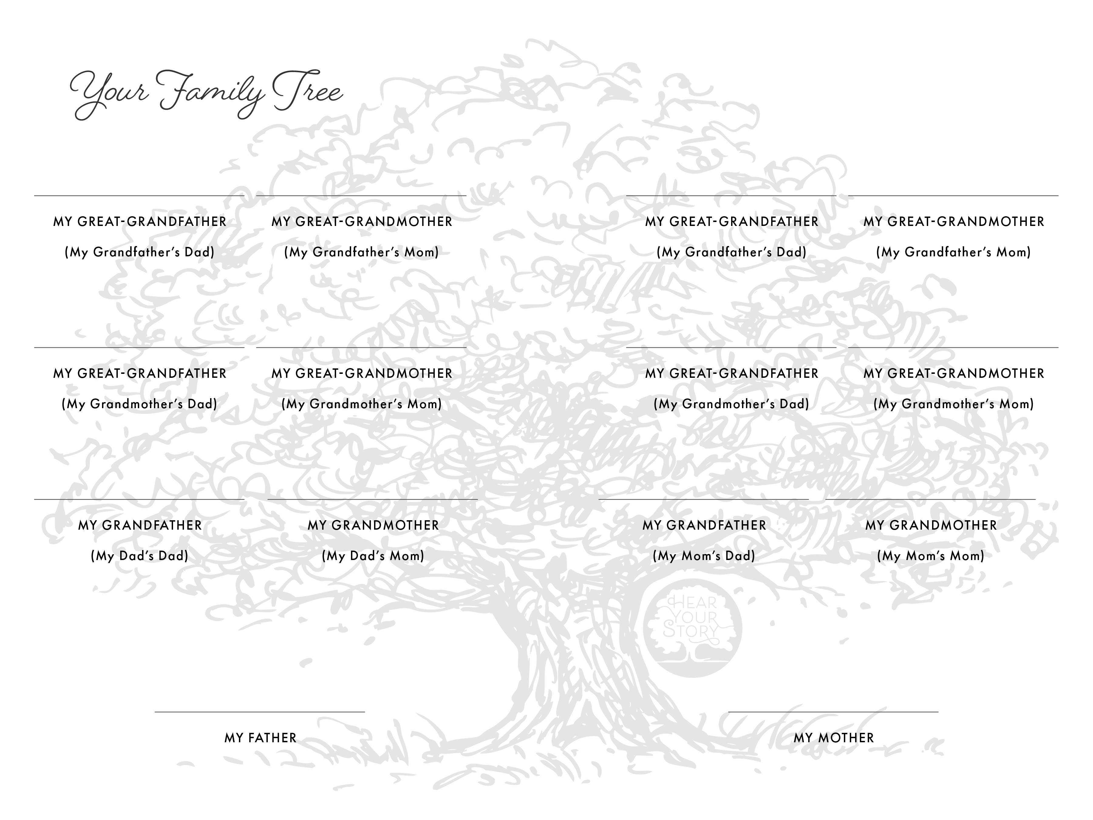 Sourcebooks - Wholesale Biography & Memoir Book - Grandmother, I Want to Hear Your Story (Expanded Edition)3