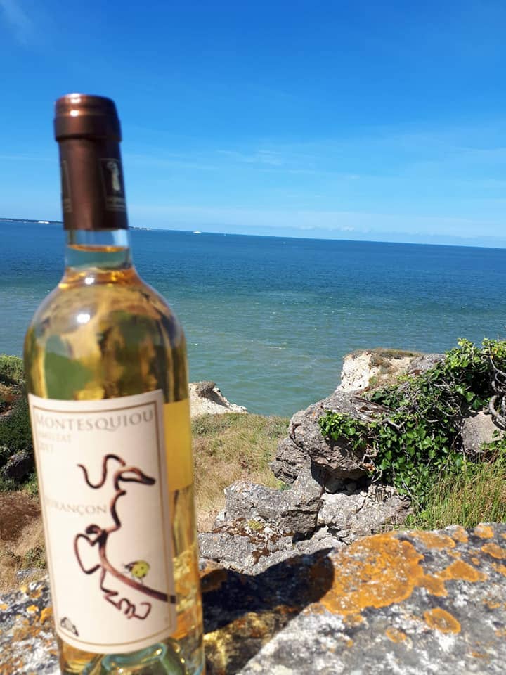 Mamie Jo - Wholesale White Wine - White wine Jurançon - Cuvée Amistat - 75 cl2