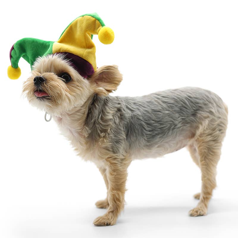 Dogo Pet - Wholesale Pet Hat - Dog - Joker Hat1