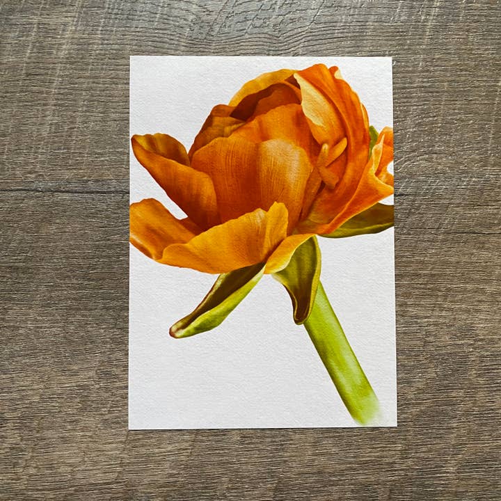 5x7 Orange Ranunculus Art Print, Floral Art Print for wholesale by blonde birdie