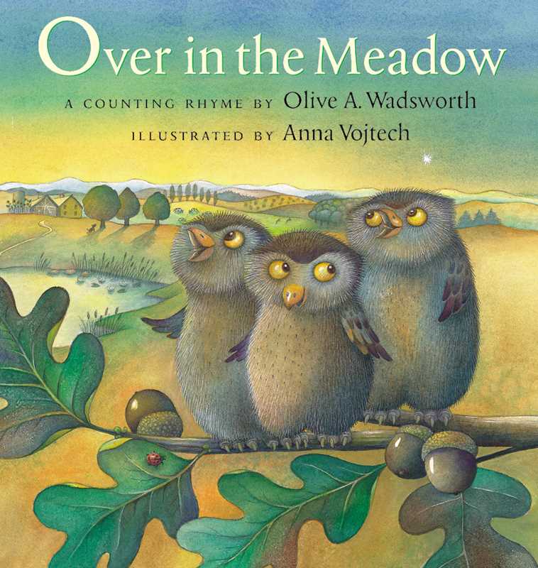 Simon & Schuster - Wholesale Baby & Toddler Book (0-2) - Over in the Meadow by Olive A Wadsworth0