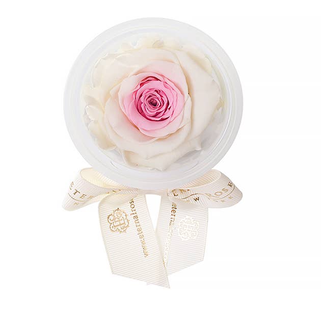 Eternal Roses® - Wholesale Party Favor - Eternal Rose Party Favors3