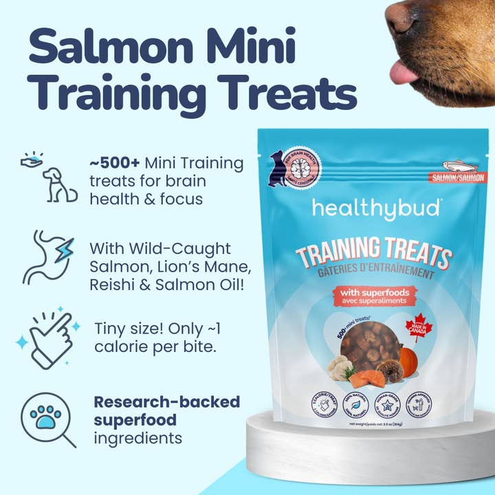 Healthybud - Wholesale Pet Treats - Dog - Healthybud's Functional Salmon Mini Training Treat for Dogs