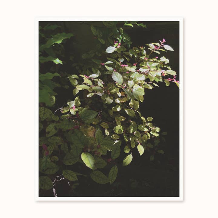 Moody Pink Floral Print for wholesale by Wild and Wandering co.