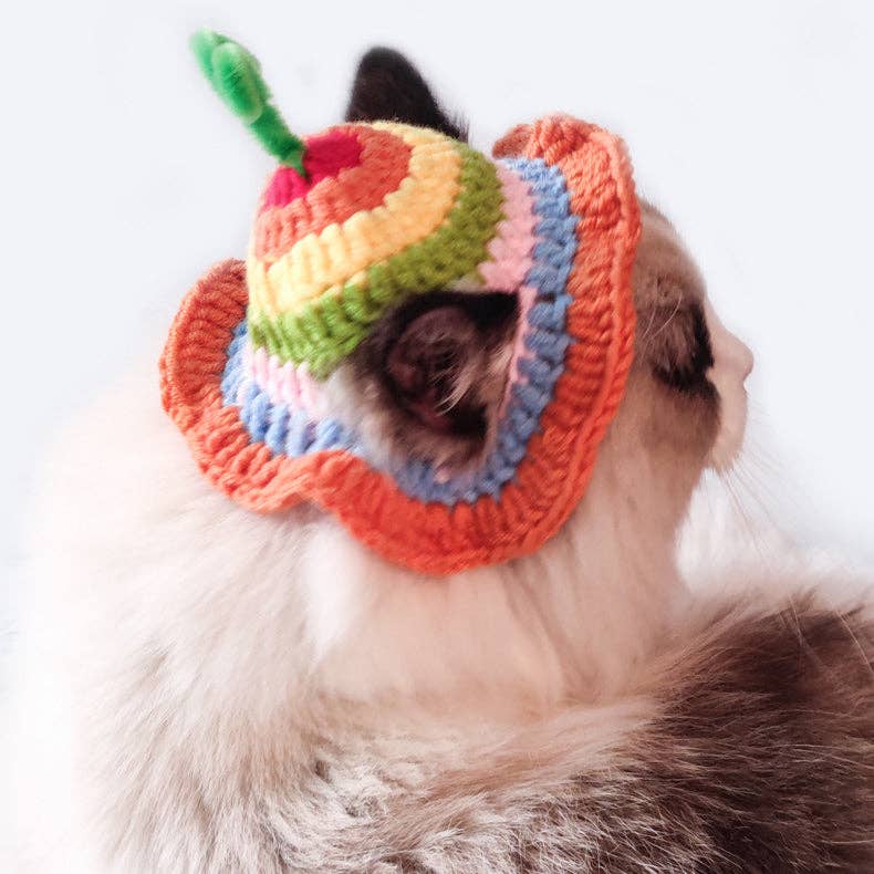 Cheerhunting - Wholesale Pet Hat - Dog - Ozzie - Rainbow Pet Knit Hat3