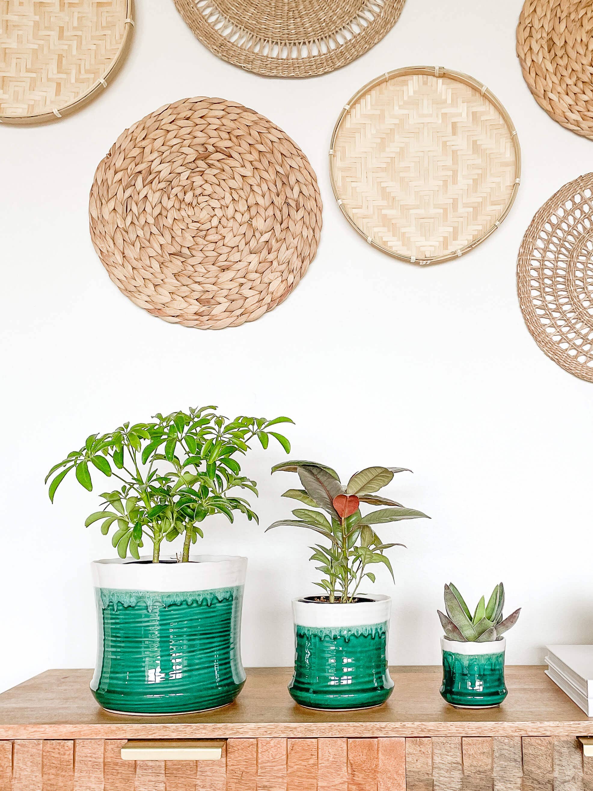 Hycroft Home Decor - Wholesale Plant Pot - Thalia Ceramic Planter Pot, Includes Drainage Hole and Plug5