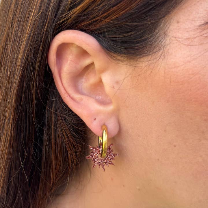 Creoles Sun Rosé Champagne for wholesale by Les Nicolettes