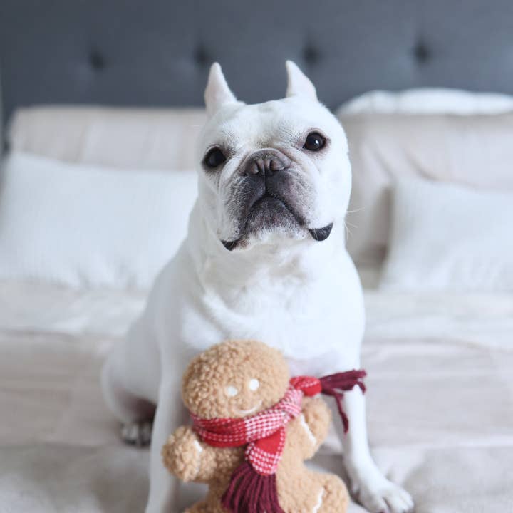 Lambwolf Collective - Vente Jouet couineur – chien - MISTER GINGERBREAD// Jouet de vacances//Jouet pour chien Enrichment5