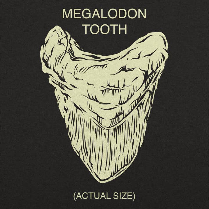 6DS - Vendita all'ingrosso Maglietta serigrafata - Uomo - Maglietta da uomo Megalodon Tooth1