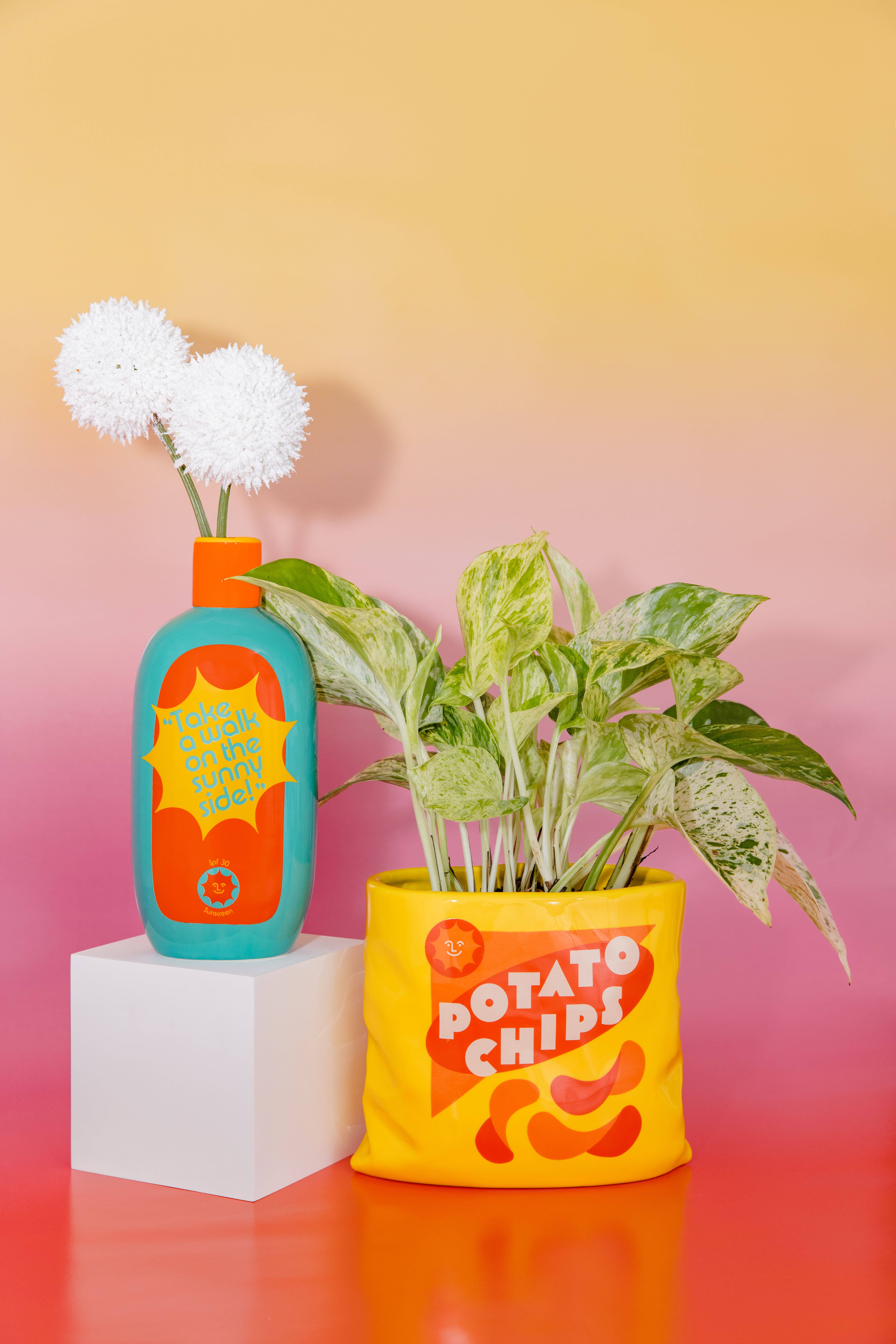 Ban.do - Wholesale Vase - Ceramic Vase, Potato Chips2