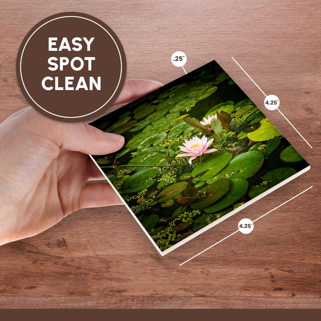 3dRose - Wholesale Coasters - 3dRose, Beautiful pink water lily flower in an artificial pond, Coaster6