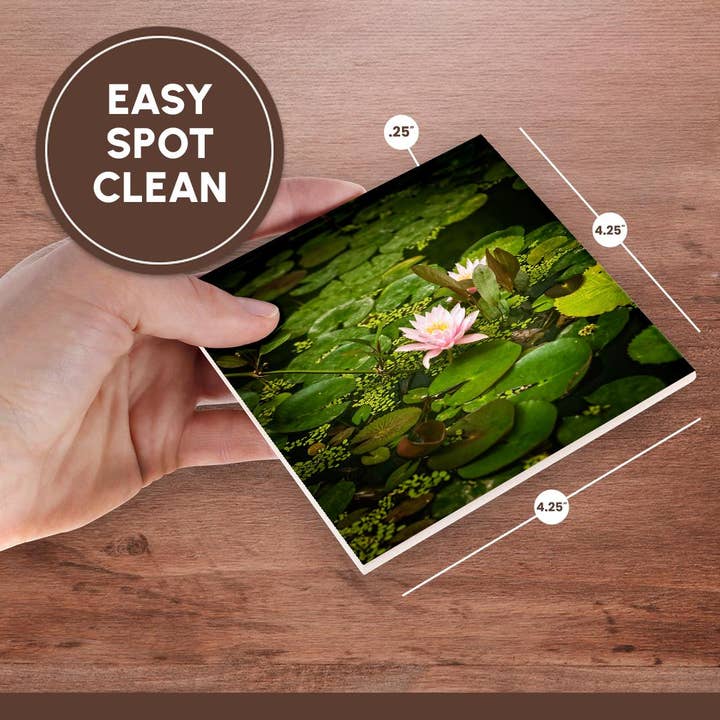 3dRose - Wholesale Coasters - 3dRose, Beautiful pink water lily flower in an artificial pond, Coaster6