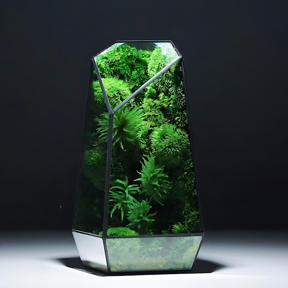 Moderny - Wholesale Terrarium - Moss Prism Terrarium0