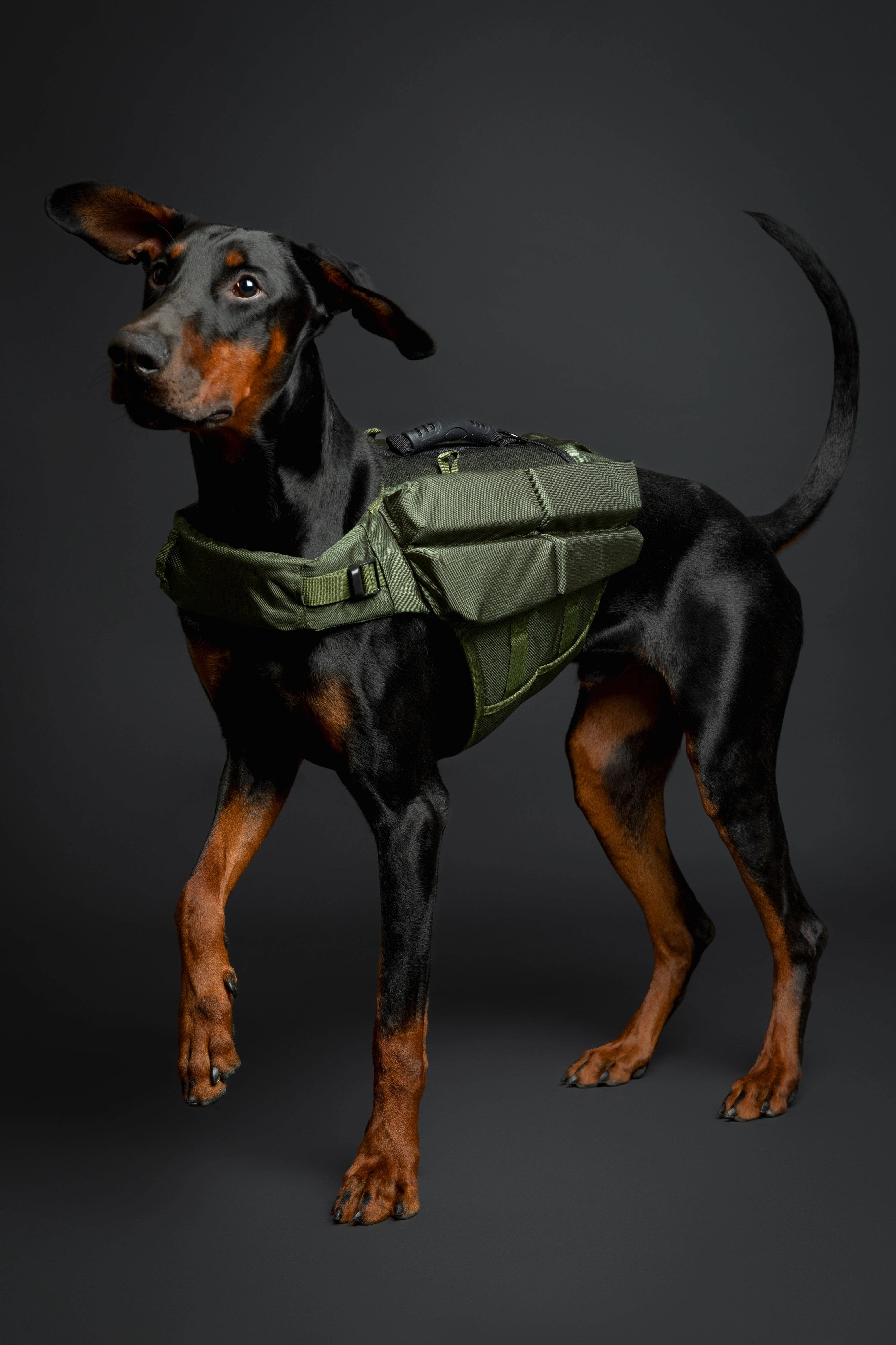 NOAH AND PAW LLC - Wholesale Pet Jacket - Dog - Human Standards Dog Lifejacket Design with 4x Foam Support for Max Floating - Green14