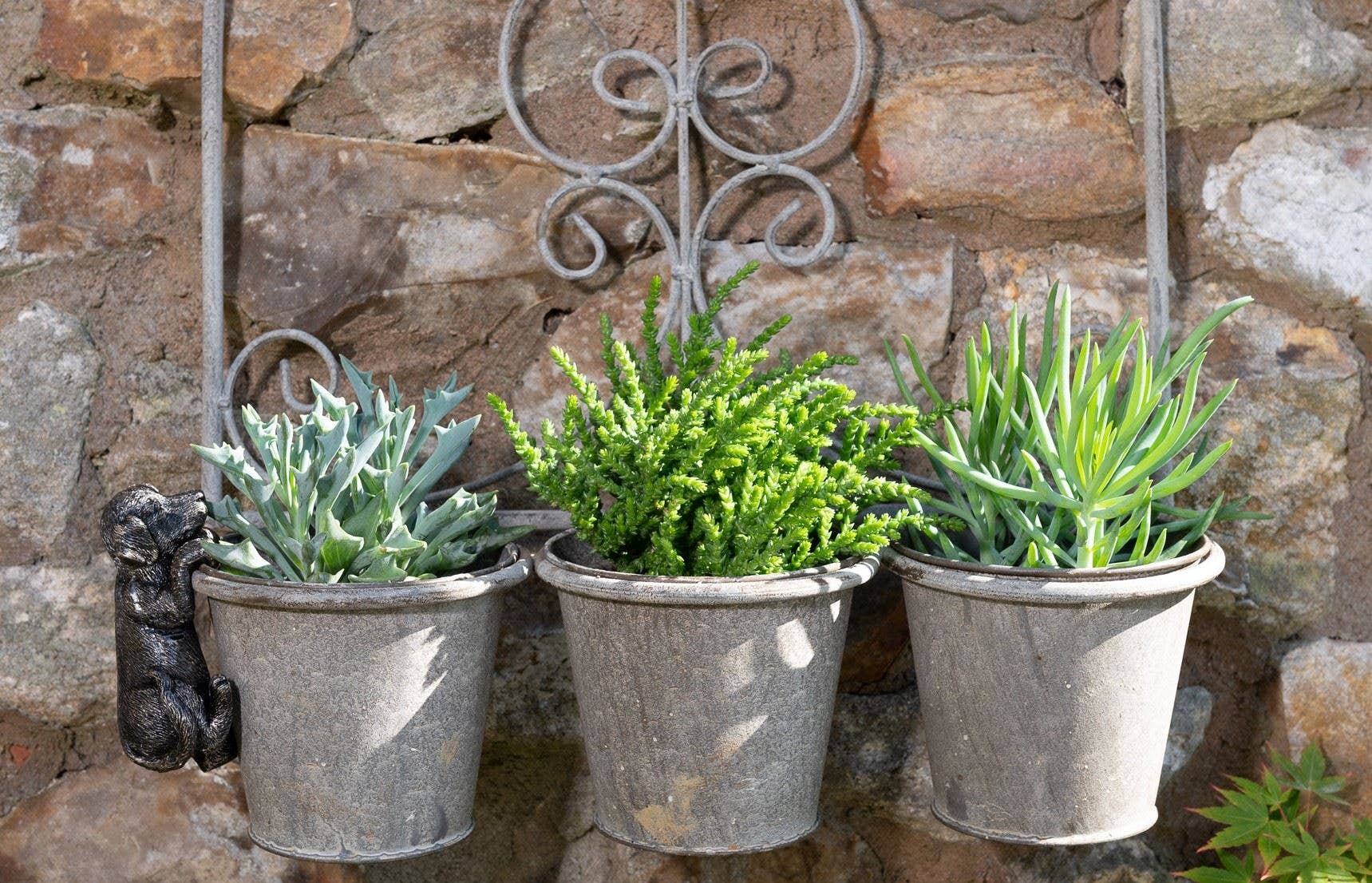 Jardinopia US - Wholesale Hanging Planter - Labrador Plant Pot Hanger8