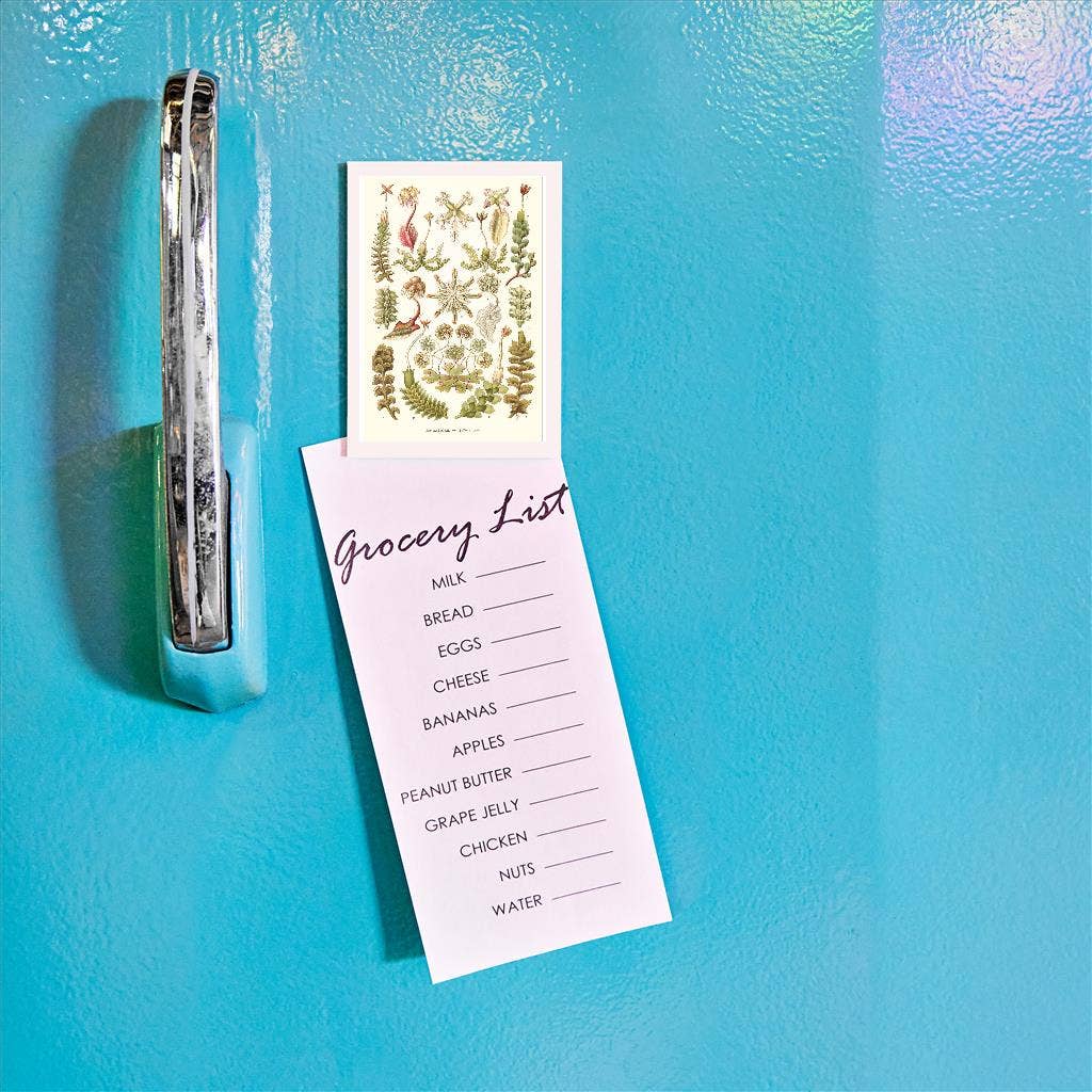 Found Image Press – wholesale Magnet – Magnet SE-113 Hepaticae1