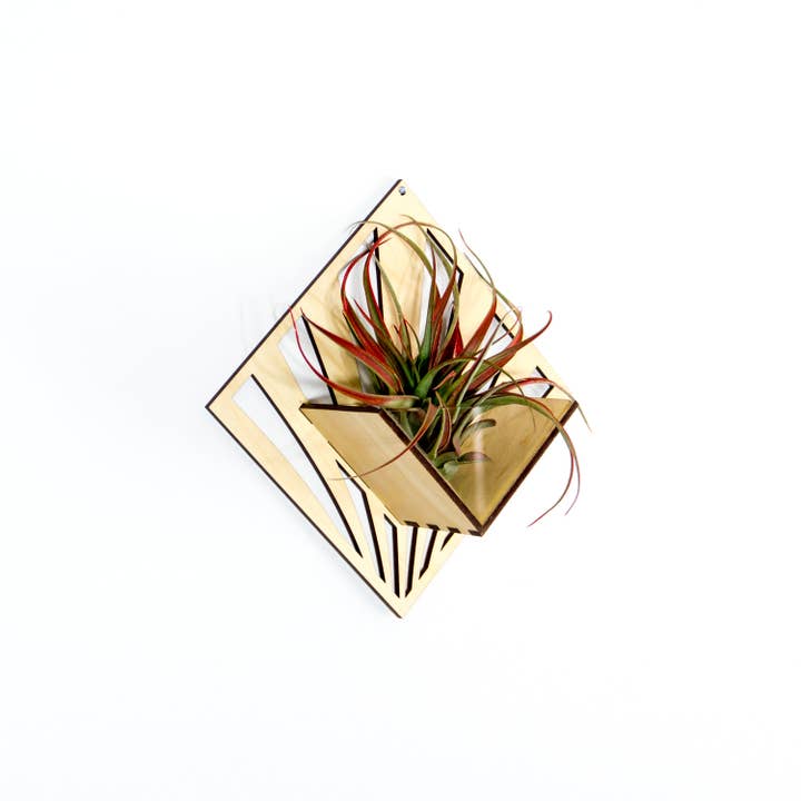 LIGHT RAZOR DESIGN STUDIO - Wholesale Wall planter - Air Plant Holder / Quadrate Wall Hanging Planter 285