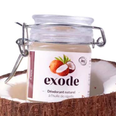 Deodorant Balm - Coconut for wholesale by Ecohesens