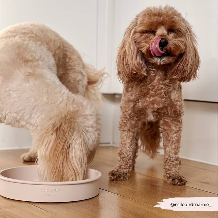 Cocopup London - Wholesale Pet Bowl - Cat/Dog - Silicone Slow Feed Dog Bowl - Baby Pink Flowers