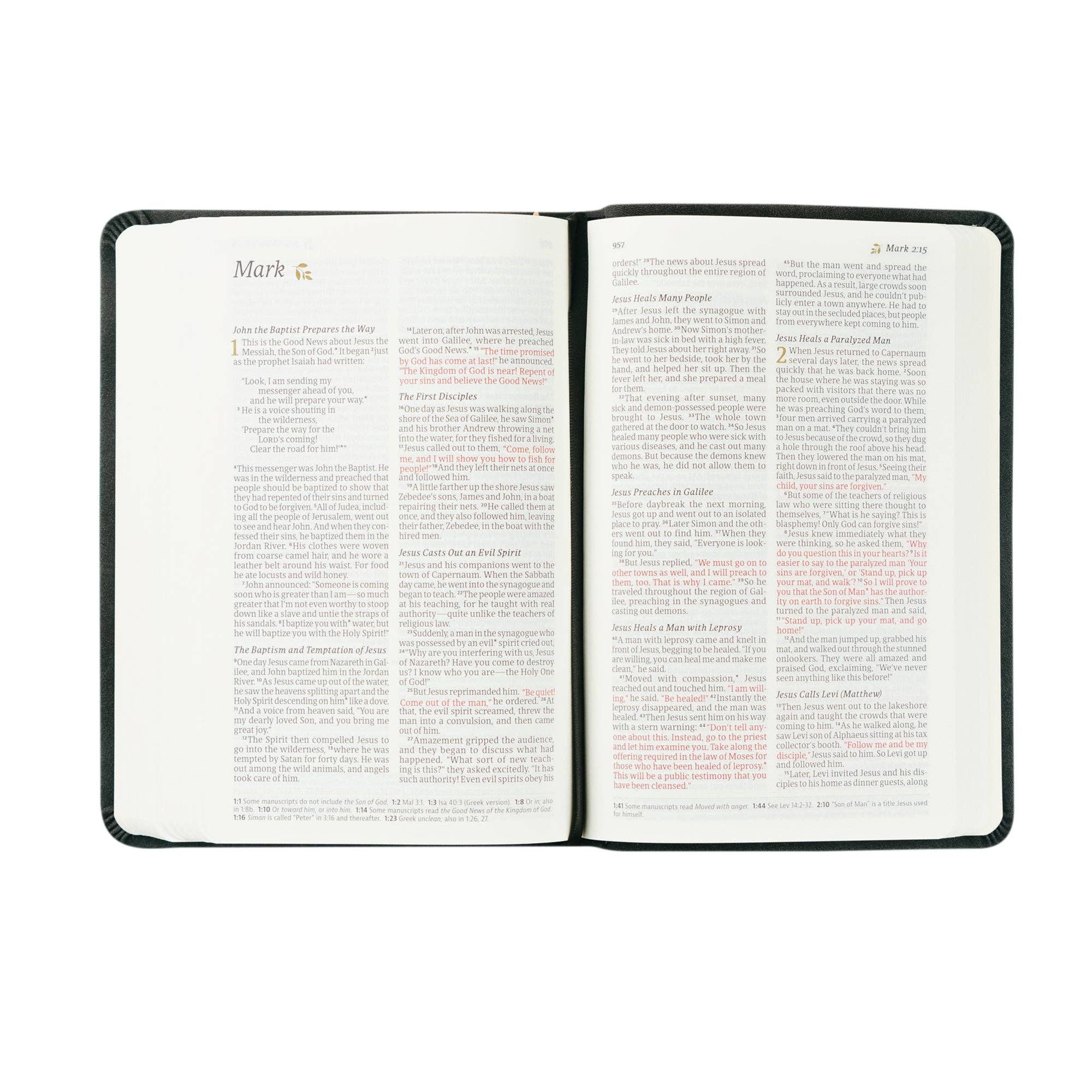 Hosanna Revival - Wholesale Religion Book - NLT Compact Bible: Jerusalem Theme5