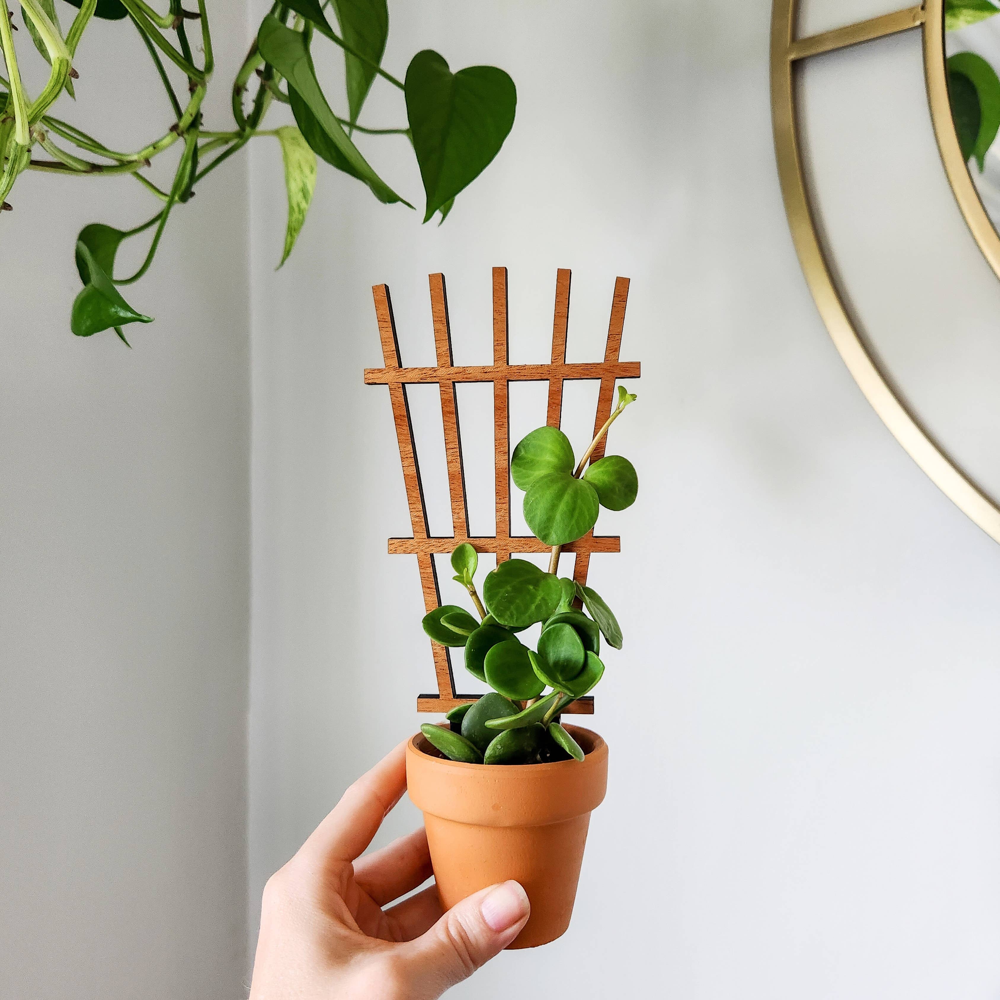 Leaf & Node - Wholesale Trellis - Garden Style Indoor Plant Trellis (Wood) (2 Sizes)0