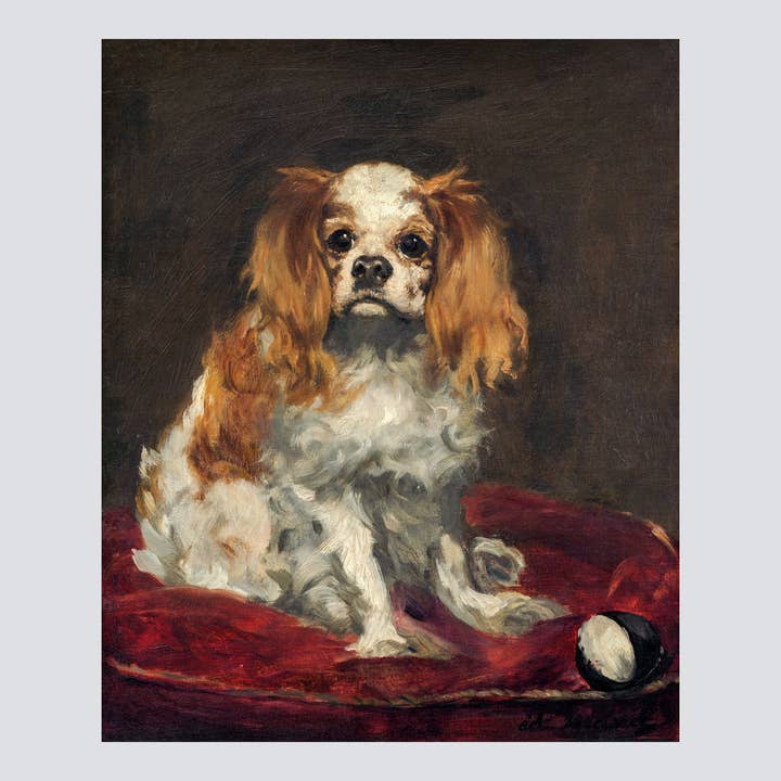 A King Charles Spaniel (c. 1866) Fine Art Print for wholesale by Milisima Studio