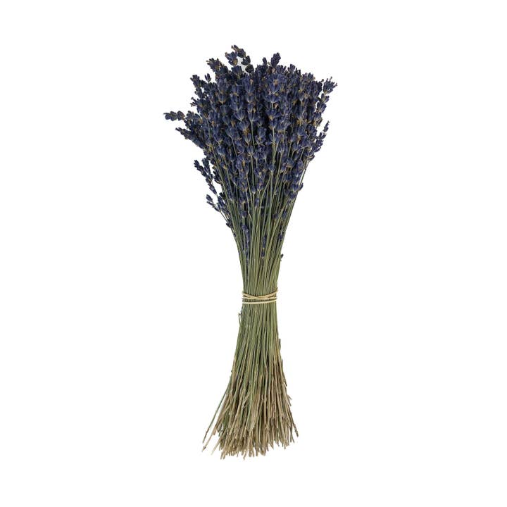 French Lavender Unsleeved - Bulk for wholesale by Mills Floral Company