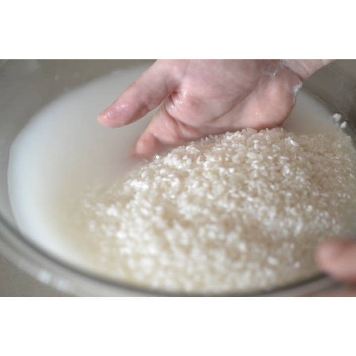 W. W. Norton - Wholesale Book - Adult - Brewing Everything2