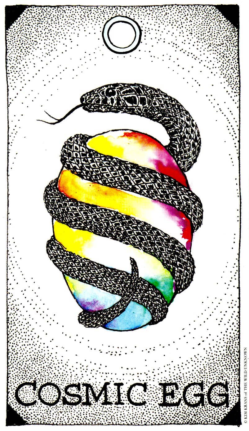 HarperCollins - Wholesale Tarot/Oracle Card - Wild Unknown Animal Spirit Deck and Guidebook5