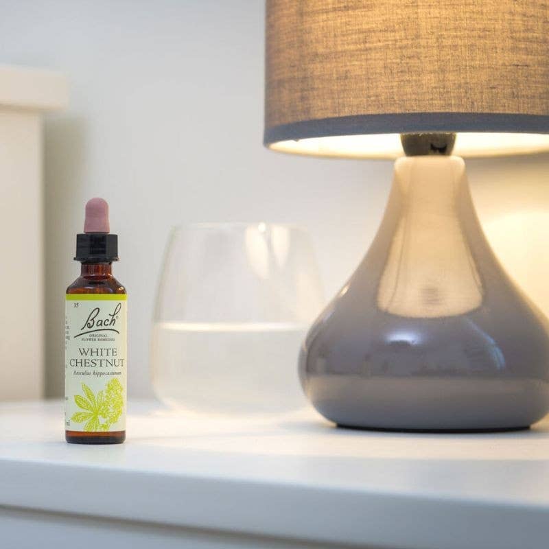 Ecohesens - Wholesale Oral Supplement/Vitamin - White chestnut 20 ml - Bach Original3